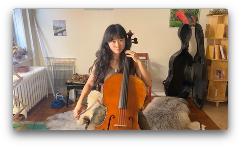 chiloschista Public 圖片