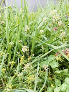 HinaLovely: My life ( фото)