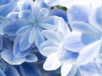 MOEMOE-Q Public Foto