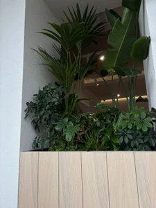 pure_radiance1 Spend the day with me 🌸 Pic 5