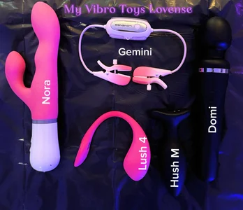 sarah_wang My toys Pic