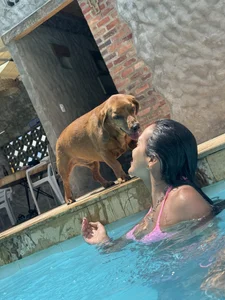 veronica_taylor1 My Life 💫🌺 Pic 5