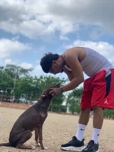 Lord_LuciferHotDirty777 Like 🫶🏽 my dog ❤️  3. fénykép