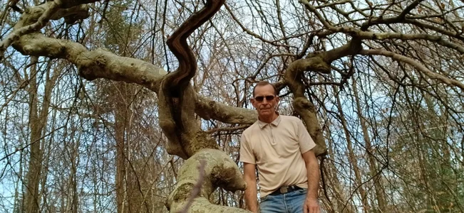 Public od Yggdrasill--  snímek