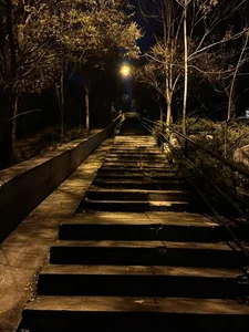 SonjaMonje Spring night Hình 4