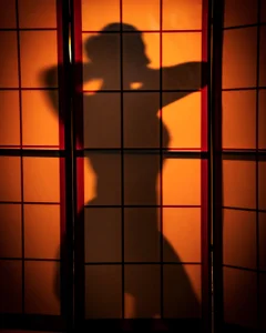 Greiz_SubKimura shades Pic 6