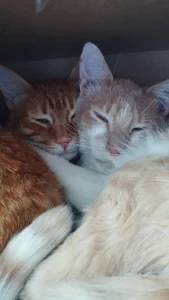 anaroman01 Day at home ✨ Pic 7