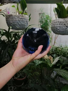 NinaYellow Art 🎨 사진 6