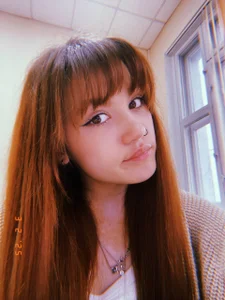 VanVanVibe Public Bilde 2