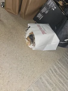 publicfun206xxx kullanıcısının Public albümü -  4 fotoğraf