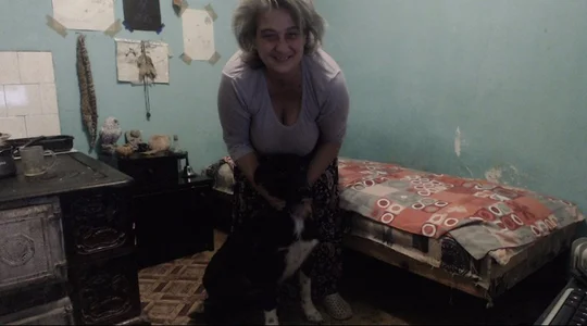 ExquisiteMature Firewood Hình 9