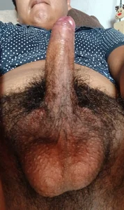 electroguzPublic图片 5