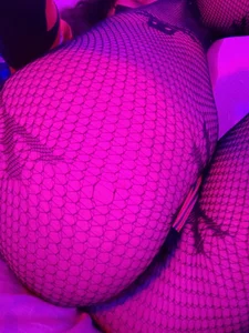 Yo_AdonitologyPublic Bild 4