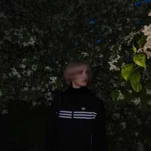 Public de SofiaCashe  2 Imagens