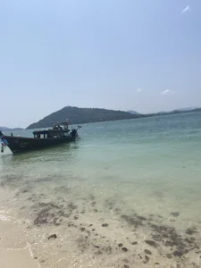 Zdjęcia Fire__Foxx Public:  9