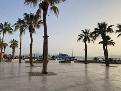 AvaGreenX Fairytale Soma Bay💕 사진 2