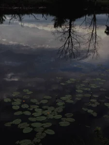 elenaaddiction my hobbies: Foto 2