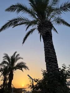 ms_afrodita Sea. Sun. Happy Anna зображення