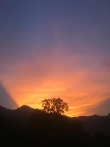 Public de hihi-xx  photos