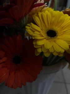 Sweeet_Eva ❤️ صورة واحدة|Sweeet_Eva ❤️ صورتان|Sweeet_Eva ❤️  2 صور|Sweeet_Eva ❤️  2 صورة