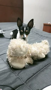 LuisaFernanda170823 Con Tinny Foto 6