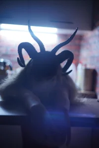 Fancymeee Public Hình