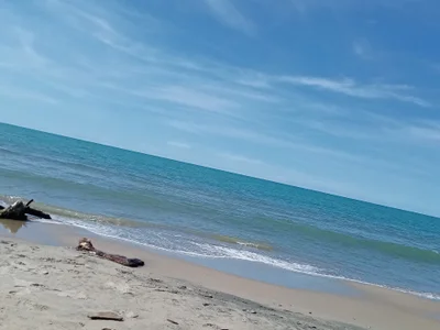 23LatinotoyPublic Bild 3