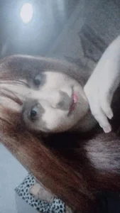 Kitty_valeryy Hello Gambar 2