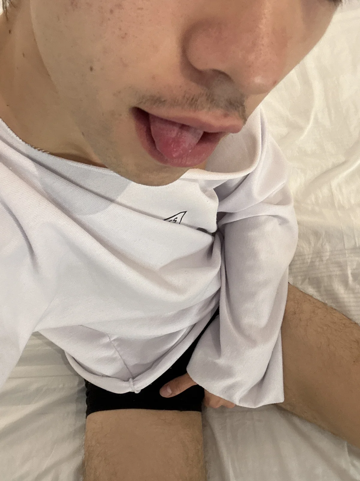 Трендове зображення  7105 Gato_Gatito