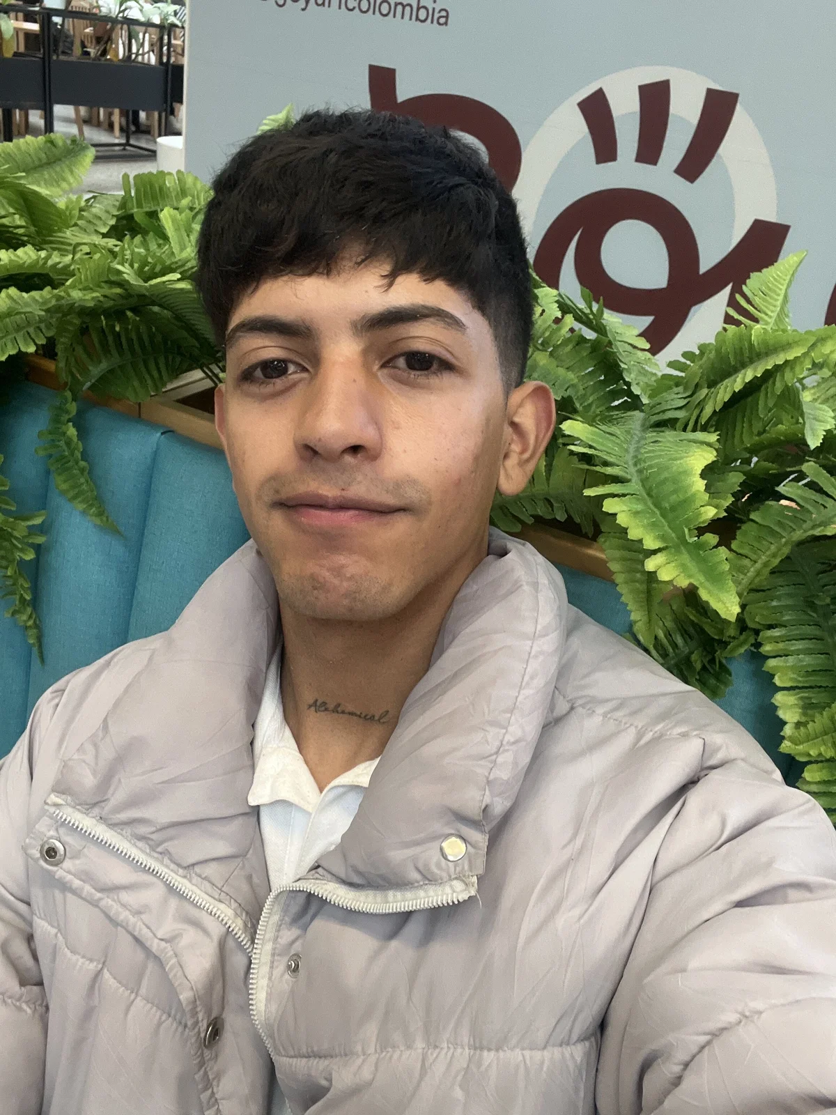 Foto em tendência de teobrowny 3177