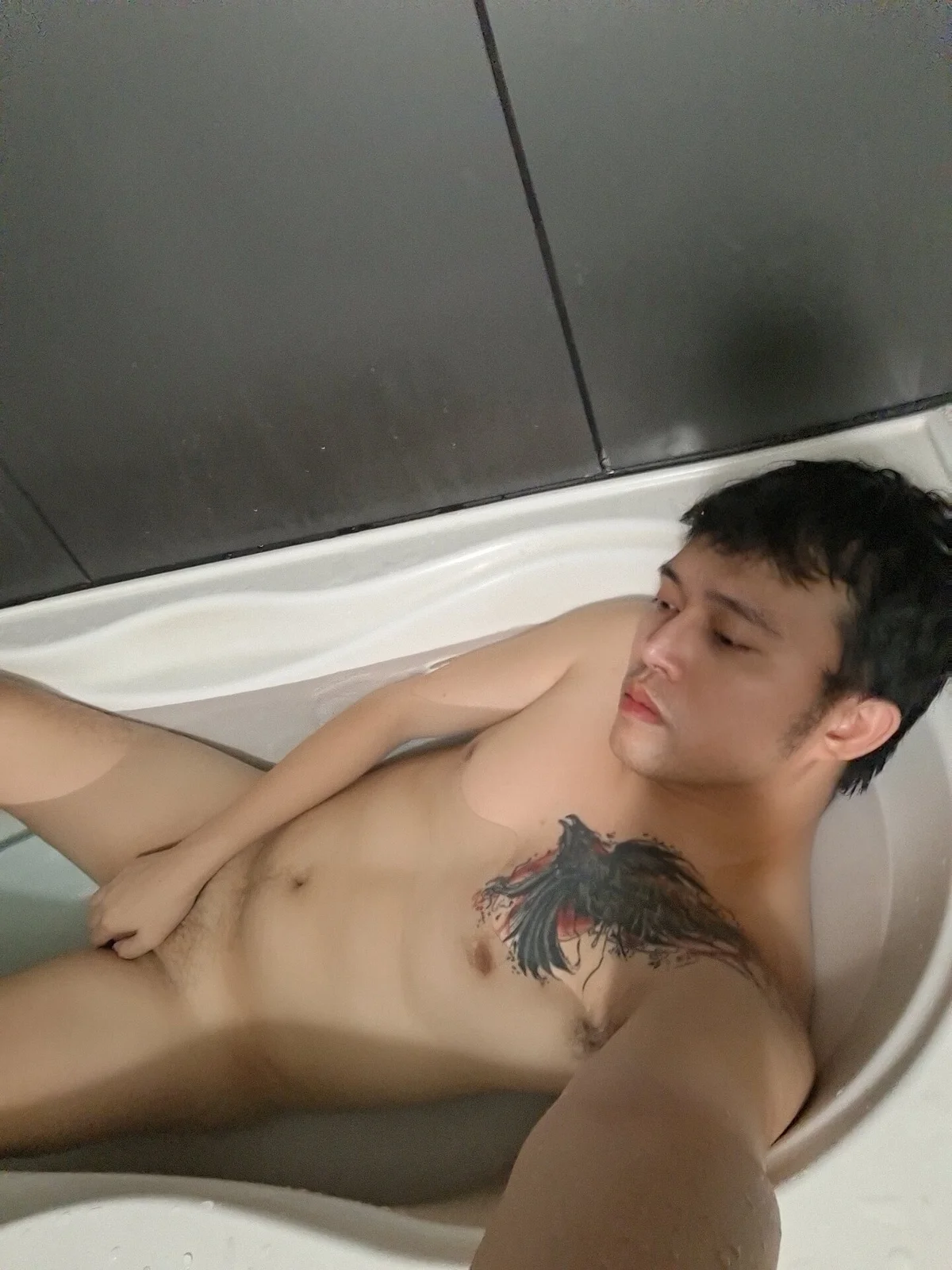 Трендове зображення  6491 wildesthotasian