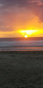 faithfulchic Flowers Pic 9