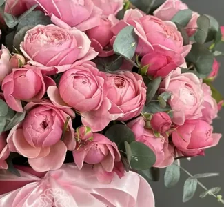 Zdjęcia Audrey_Aura bouquet:  5