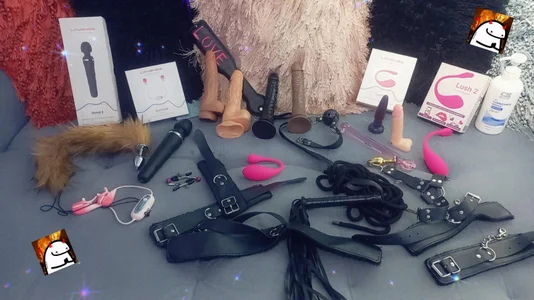 AmberGray_ my toys ( i need more) Billede