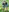 Crazycousins's photo