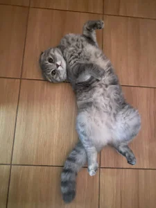 inga_gree: A little bit about my life ( фото)