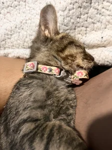 Maddy_w Public slika 6