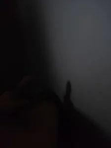 rdan13のPublicの 3枚の写真