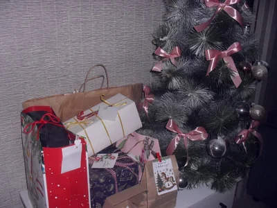 Zdjęcia May_Bloom New Year's vibe. Мой образ увидите в фан клубе!: 