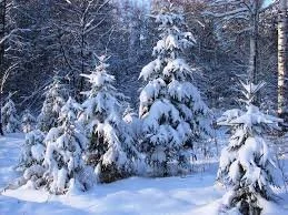 PetraHambelton my fav vibe Pic 2