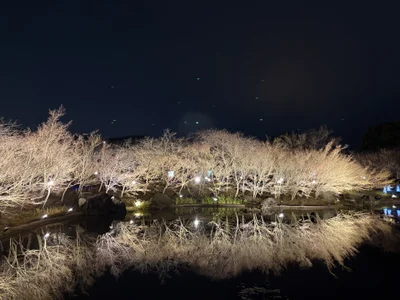 KIHO_ Public Gambar 2