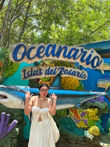 zui_lu kullanıcısının 🐚🌺🧡☀️ albümü -  7 fotoğraf