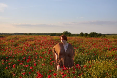 In the poppy field