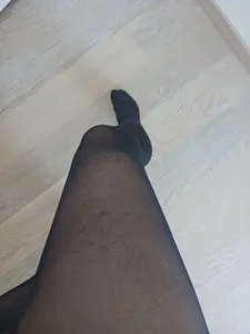 Transvirginie Public зображення 8