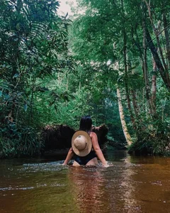 Public de suriFoster  3 Imagens