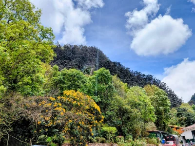 Noisy_doll my beautiful city <3 Pic 7