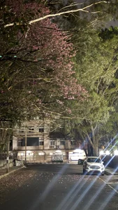 dopa_6917 Me in my photograph era Pic 3