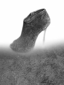 STOP-PANIC I CAN WEAR THESE HEELS FOR YOU Gambar