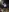 Live stream patio cam show