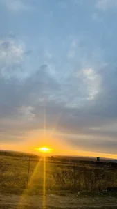 DICK5016: Yeah nerh ( 3 фото)